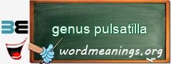 WordMeaning blackboard for genus pulsatilla